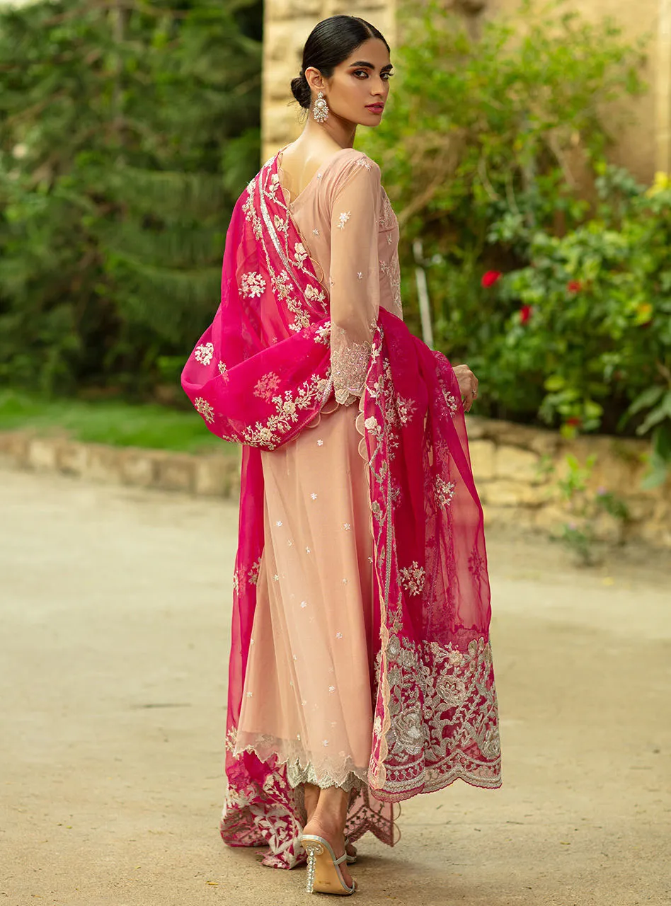 Formal Pakistani Dress in Soft Baby Pink Shade #PF237