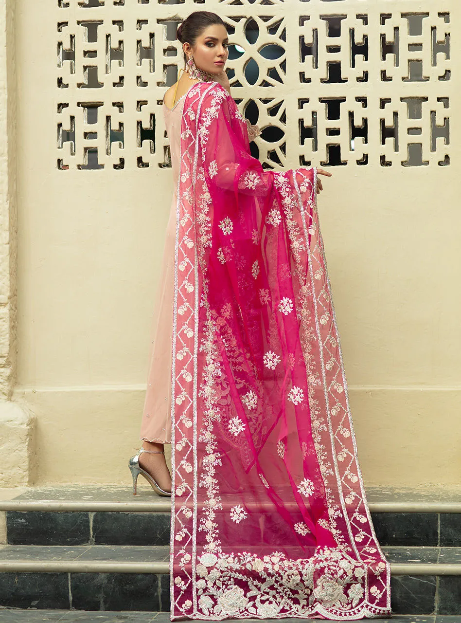 Formal Pakistani Dress in Soft Baby Pink Shade #PF237