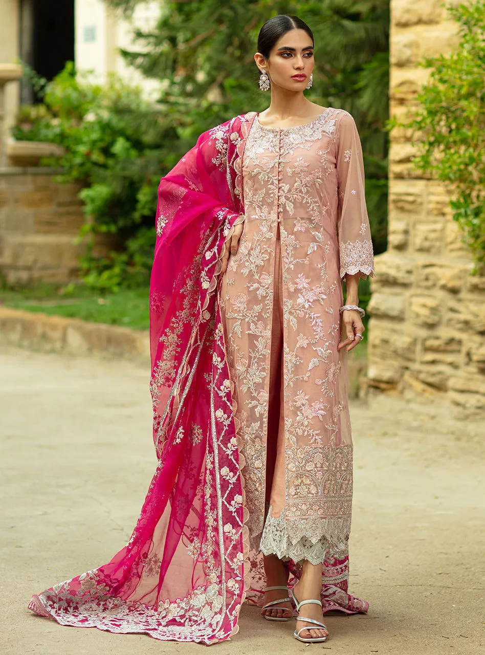 Formal Pakistani Dress in Soft Baby Pink Shade #PF237