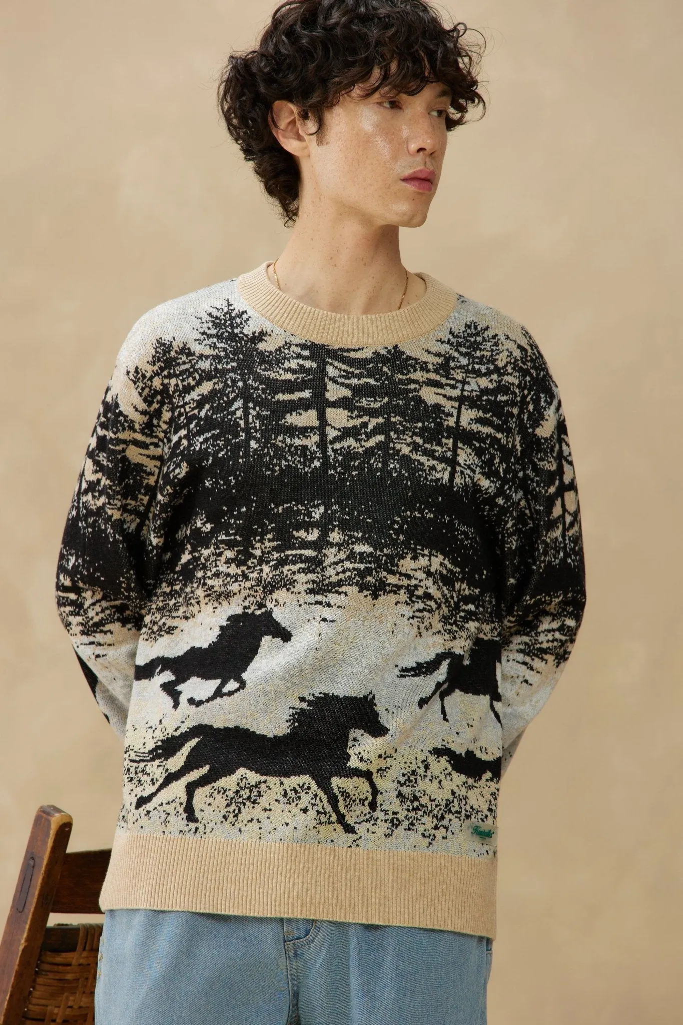 Jacquard Knit Sweater in Wild Stallion