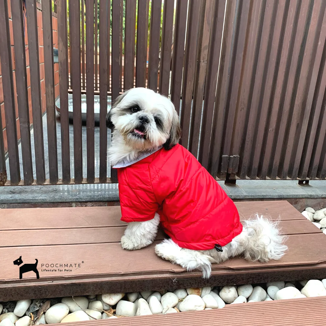 PoochMate Bexley Winter Quilted Dog Jacket : Red